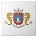 Search for puerto rico tiles Boricua