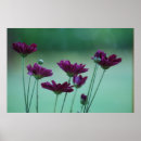 Search for spring birthday art Flowers