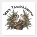 Search for conifer stickers Nature