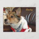 Search for ducky postcards Animal
