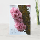Search for spring tree cards Pink