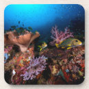 Search for scuba diving coasters Travel