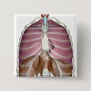 Search for respiratory badges Lung