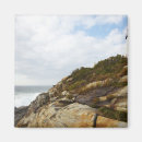Search for hillside magnets Nature
