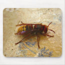 Search for hornet mouse mats Insect