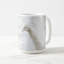 Search for peacock feather mugs Beautiful