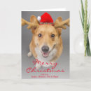 Search for pembroke christmas cards One animal