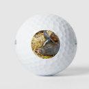 Search for pigs golf balls Adorable
