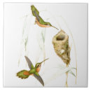 Search for bird nest tiles Botanical