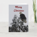 Search for bald eagle christmas cards Wildlife