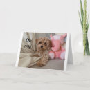 Search for barking photography Dog