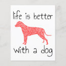 Search for advice dog Pet