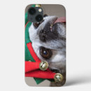 Search for small pets ipad cases Photography