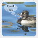 Search for animal envelope seals Thank you