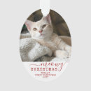 Search for holiday pet memorial christmas tree decorations Red and white