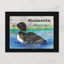 Search for common loons postcards Minnesota