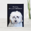 Search for husband congratulations cards Funny