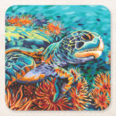 Search for turtle kitchen dining Sea life