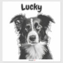 Search for sheep dog electronics Border collie