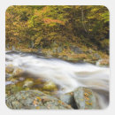 Search for marcie stickers Scenic