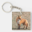 Search for carnivores key rings Wildlife