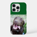 Search for chocolate labrador iphone cases Pet