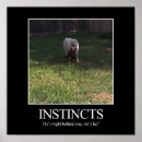 Search for funny friends posters Dog