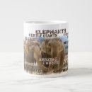 Search for elephant mugs Typography