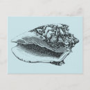 Search for translucent postcards Nature