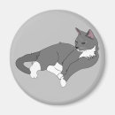 Search for gary magnets Blue