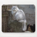Search for grey fur mouse mats Adorable