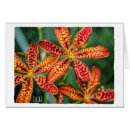 Search for blackberry cards Garden
