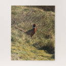 Search for pheasant puzzles Male