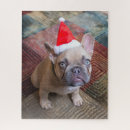 Search for bulldog puzzles Domestic animals