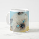 Search for seal animal mugs Cat
