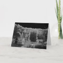 Search for bones photography Vintage