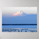 Search for shasta posters Mountains