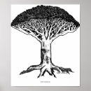 Search for black and white dragon posters Illustration