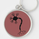 Search for neuron key rings Biology