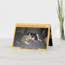 Search for adopt cards Kitty