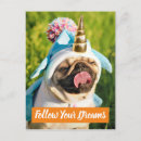 Search for funny pug invitations Humour