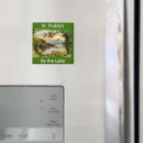 Search for st patrick s day magnets Ireland