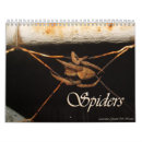 Search for secrets office supplies Nature