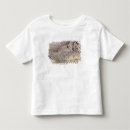 Search for 1903 tshirts Female