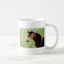Search for foals mugs Pony
