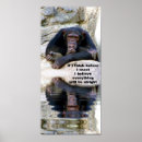 Search for chimpanzee monkey posters Chimps