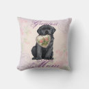 Search for black lab cushions Black labrador retriever