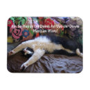 Search for kid rectangular magnets For her