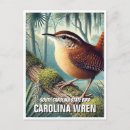 Search for wrens postcards Bird lover