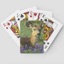 Search for odocoileus United states
